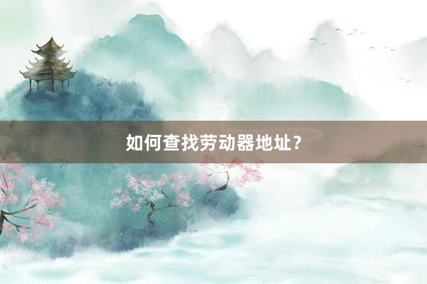 如何查找劳动器地址？